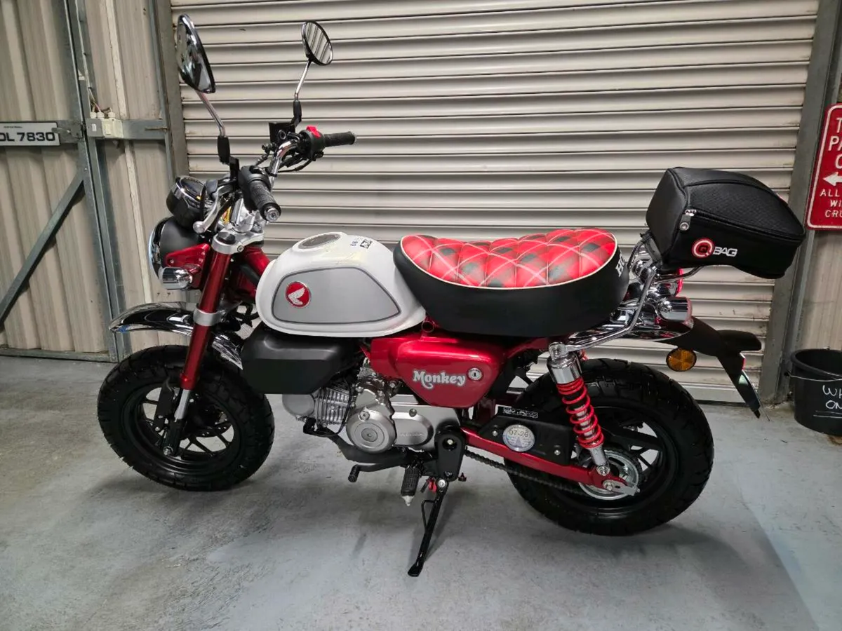 2023 Honda Monkey Z125 - Image 2