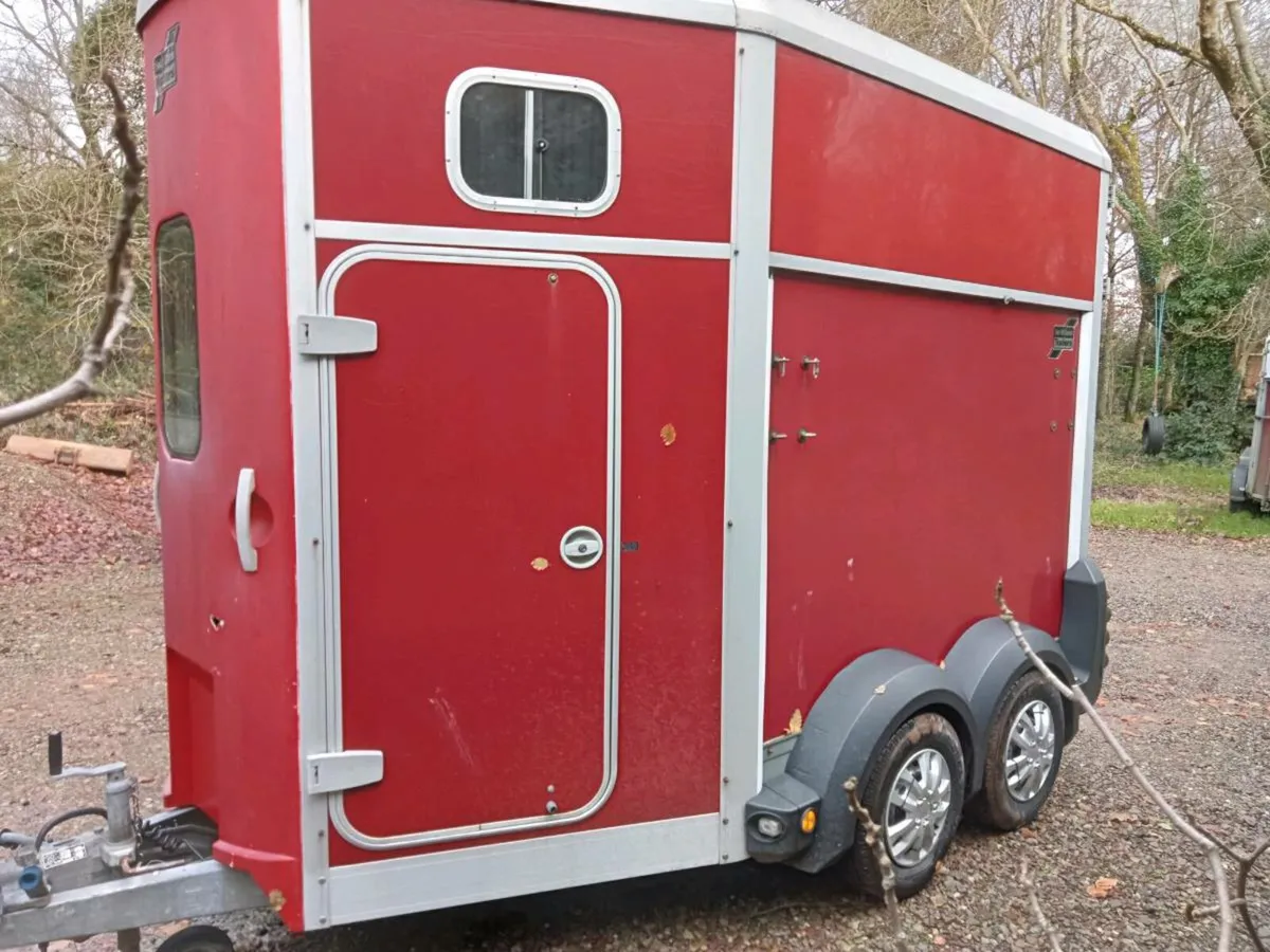 Ifor Williams horse box Hb 506 - Image 2