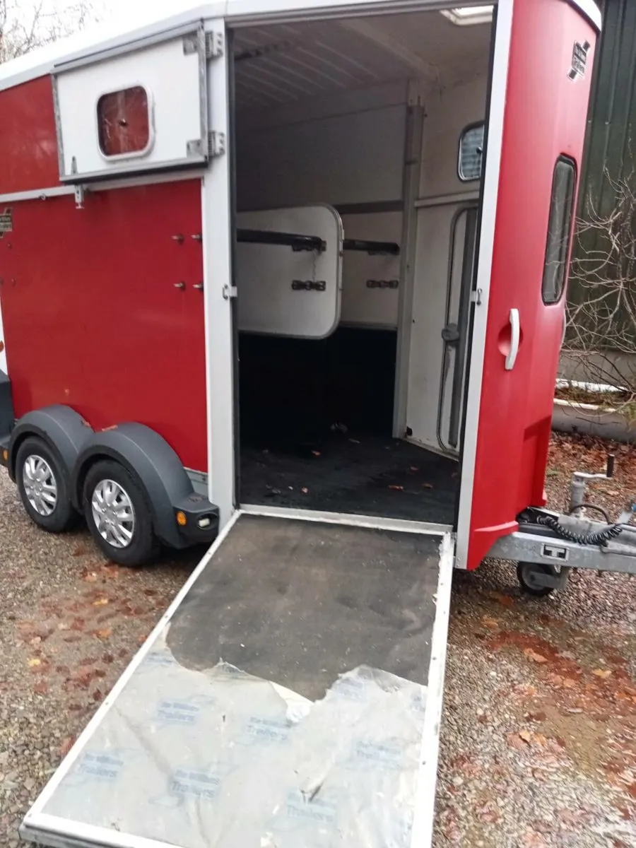 Ifor Williams horse box Hb 506 - Image 4