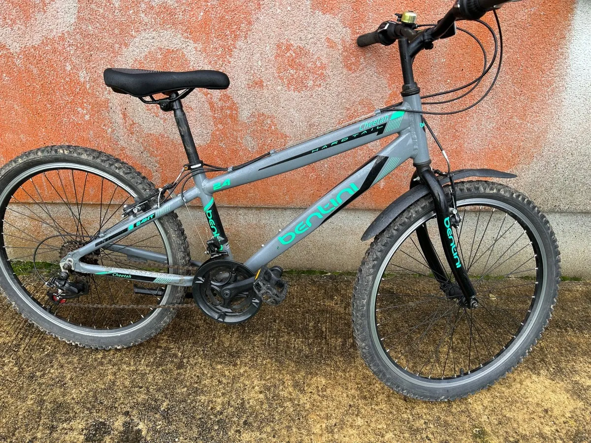 Boys Bentini Bicycle - Image 1