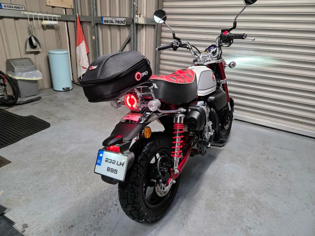 2023 Honda Monkey Z125 - Image 3