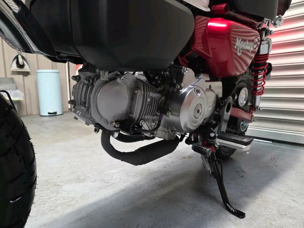 2023 Honda Monkey Z125 - Image 4