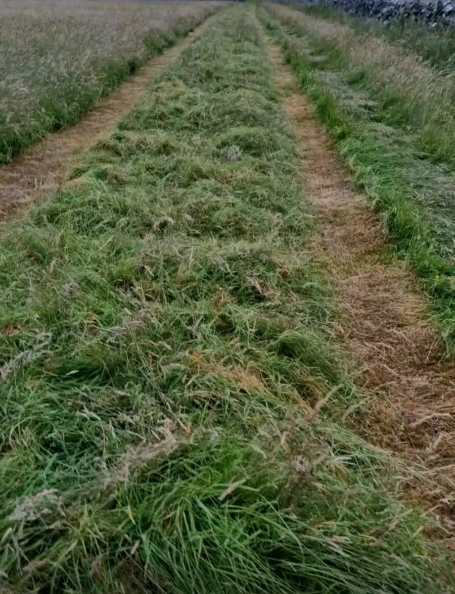 Round bales of Silage. - Image 2