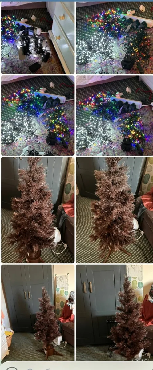 Christmas lights - Image 3