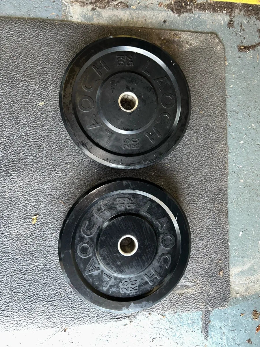 Bumper Weight Plates - Image 2