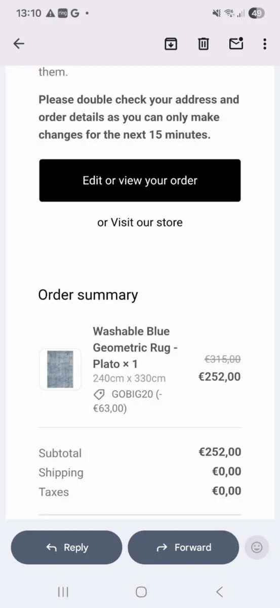 Large Blue Rug - Image 3