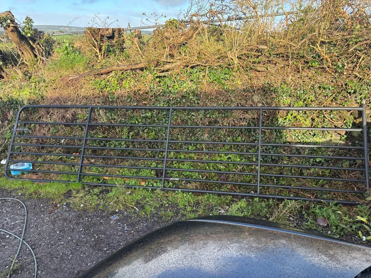 16ft Farm Gate - Image 1