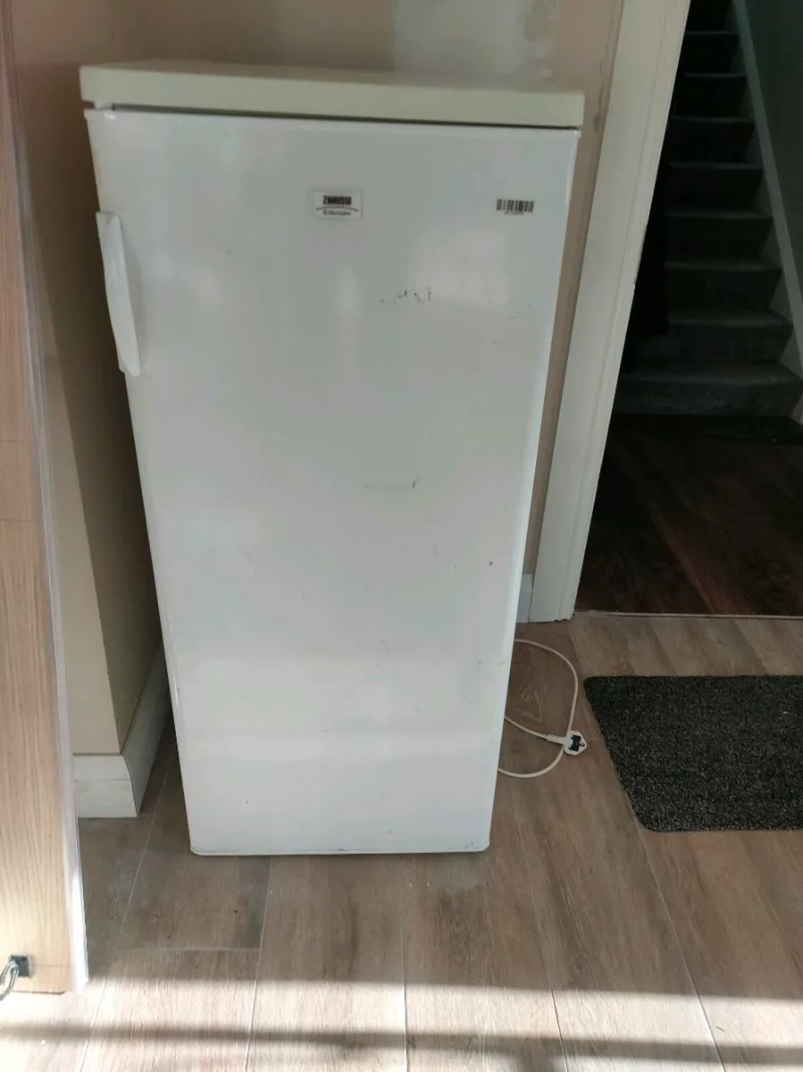 Fridge - Image 1