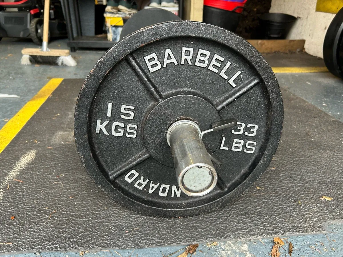 Ez Curl Bar + 15kg Weight Plates - Image 3