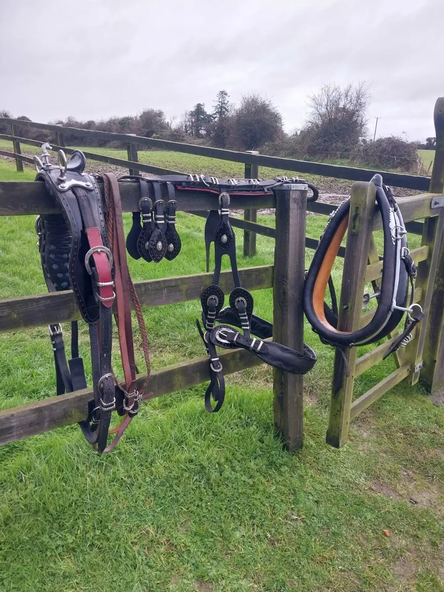 BEAUTIFUL SET OF HORSE SHOE BUCKLE TRADE HARNESS F - Image 1