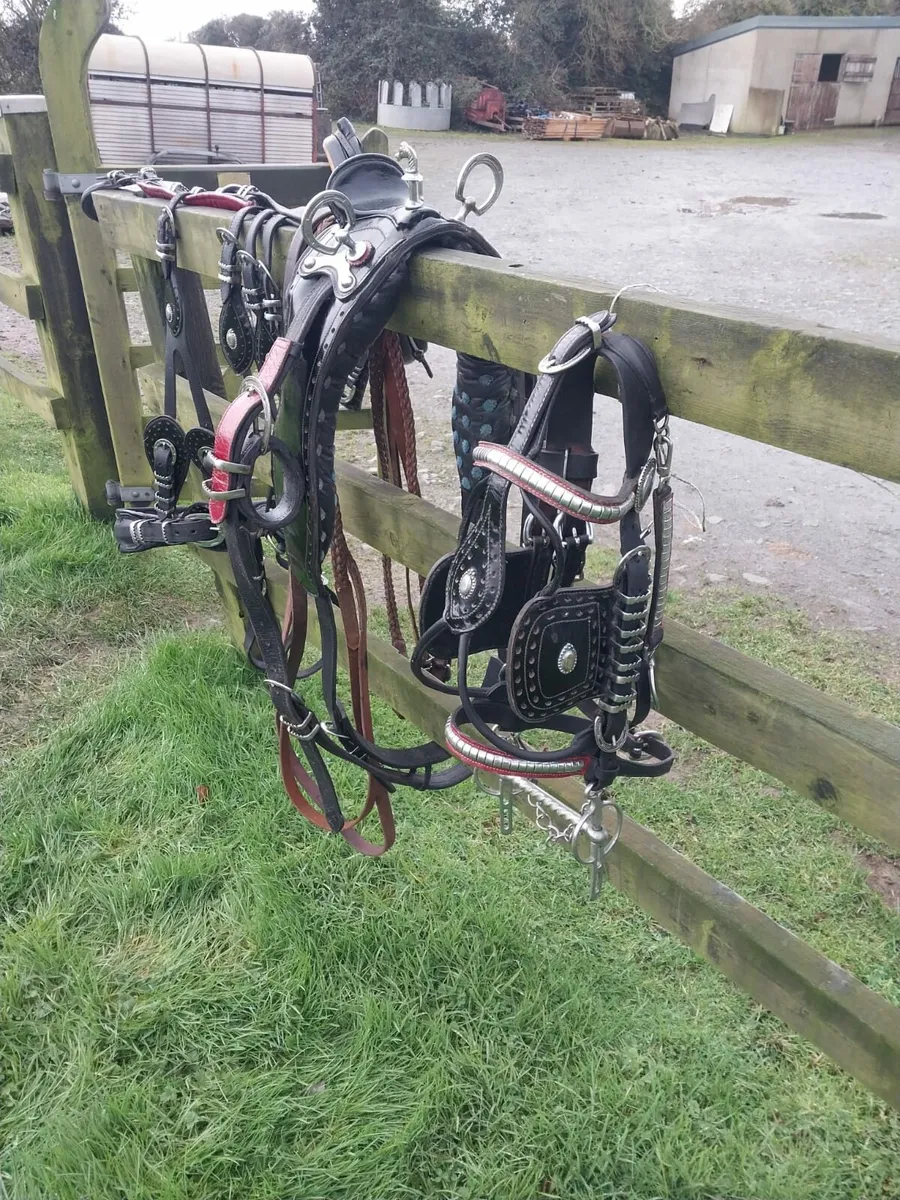 BEAUTIFUL SET OF HORSE SHOE BUCKLE TRADE HARNESS F - Image 3