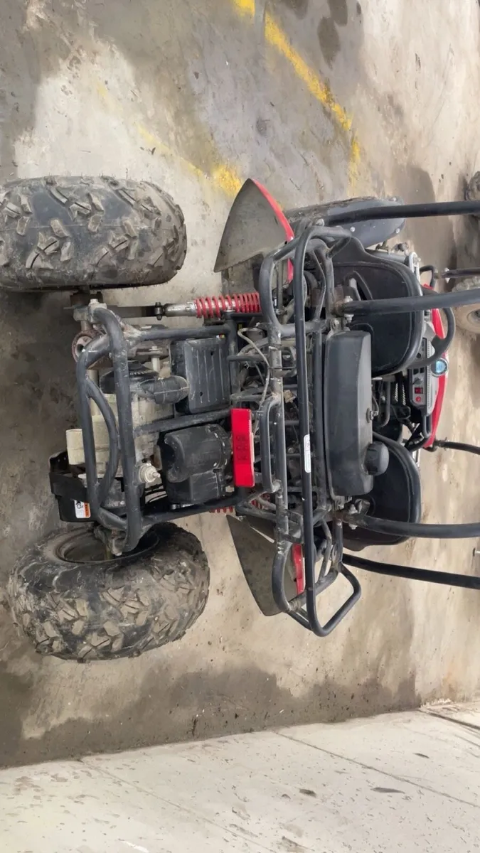 Hammer head doom buggie quad - Image 4