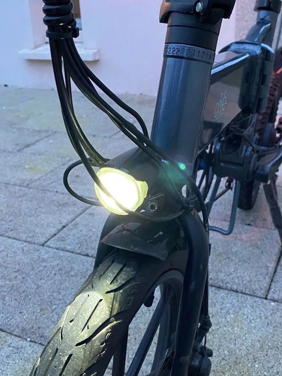 Fiido D2S Folding Electric Bike - Image 4