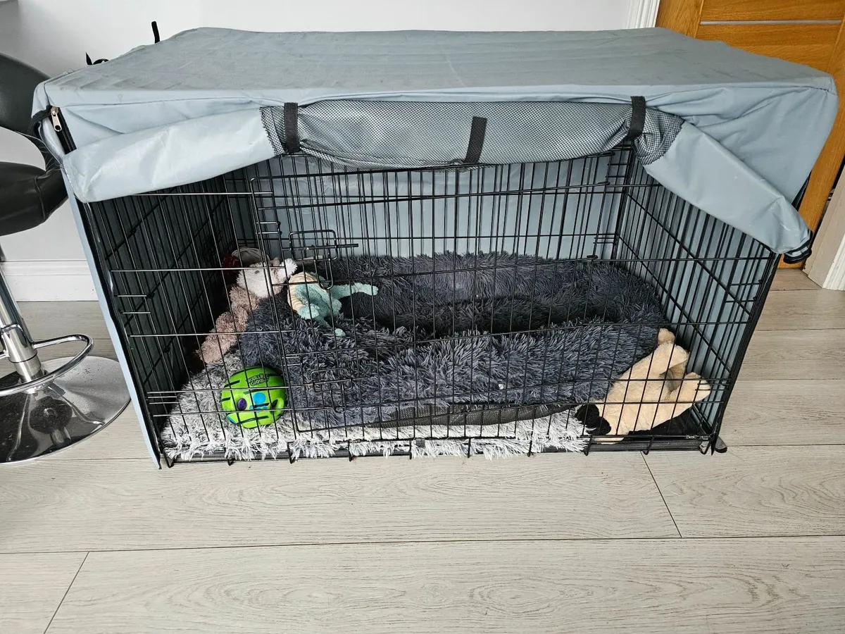 Large dog crate