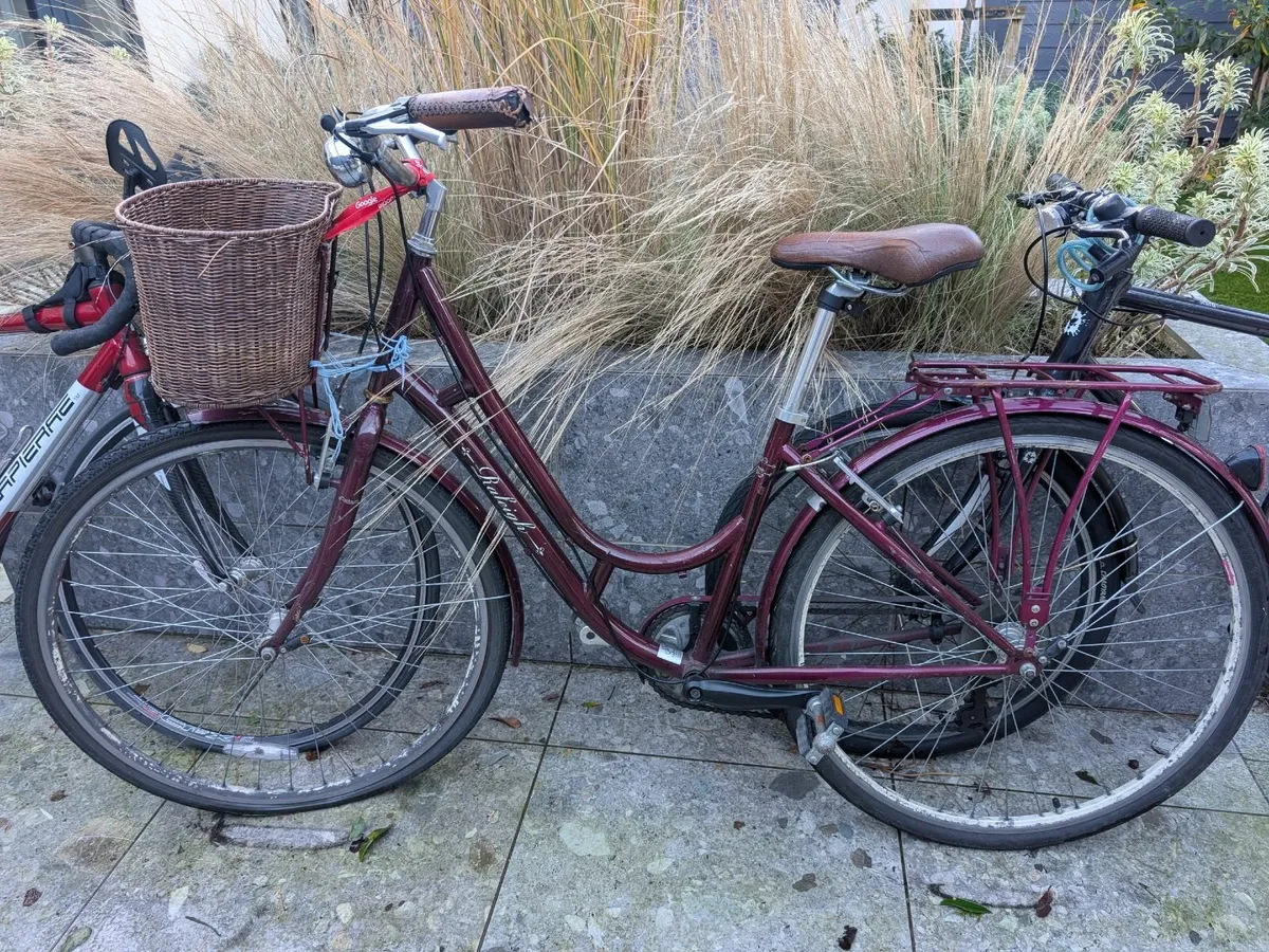 raleigh bike - Image 1