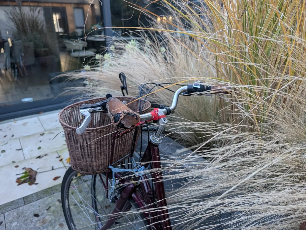 raleigh bike - Image 3