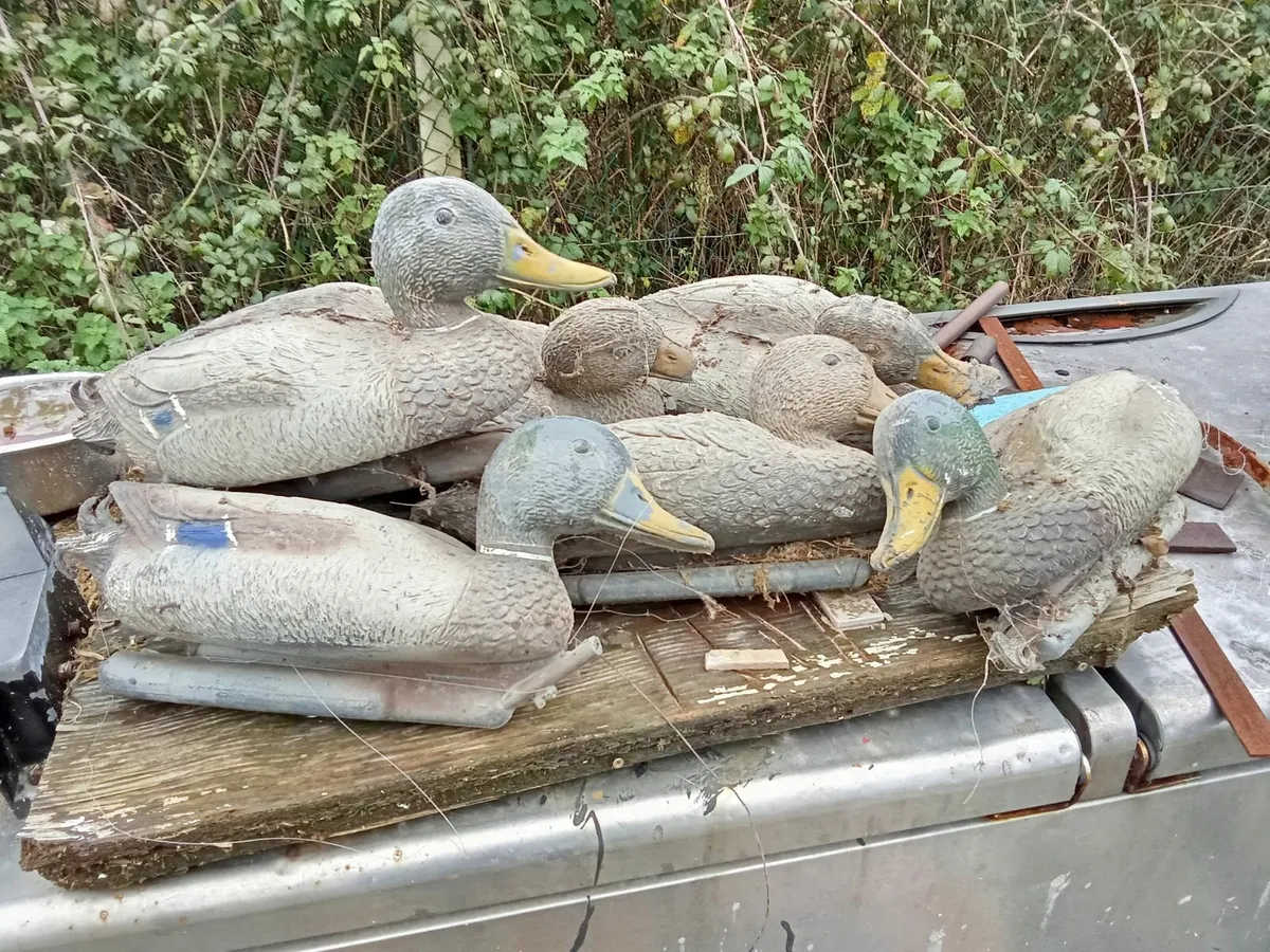 Duck decoys