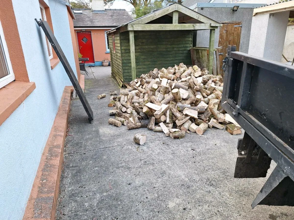 ASH FIREWOOD - Image 1