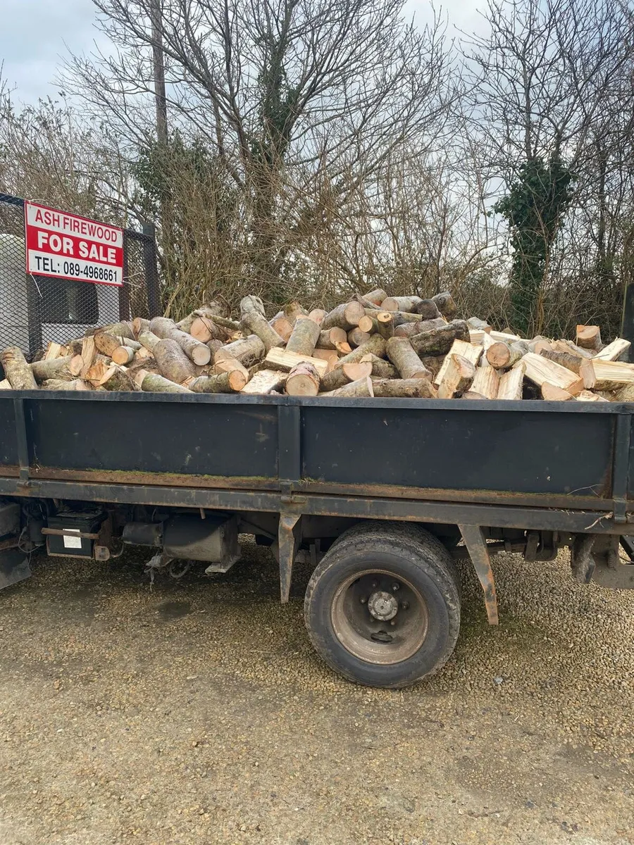 ASH FIREWOOD - Image 2