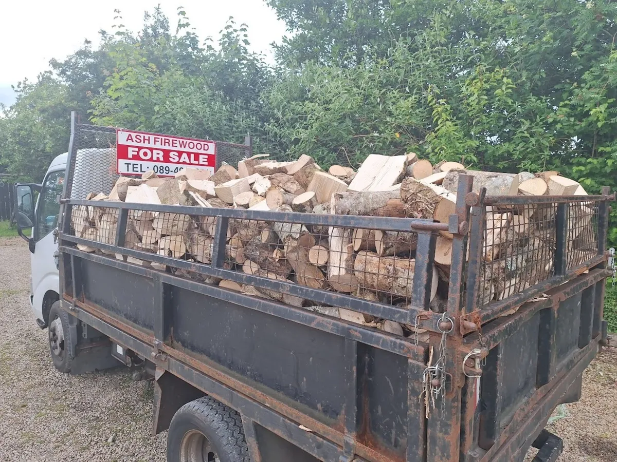 ASH FIREWOOD - Image 3