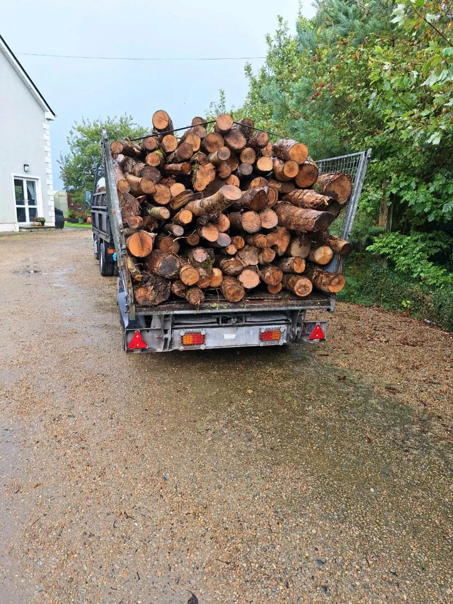 ASH FIREWOOD - Image 4