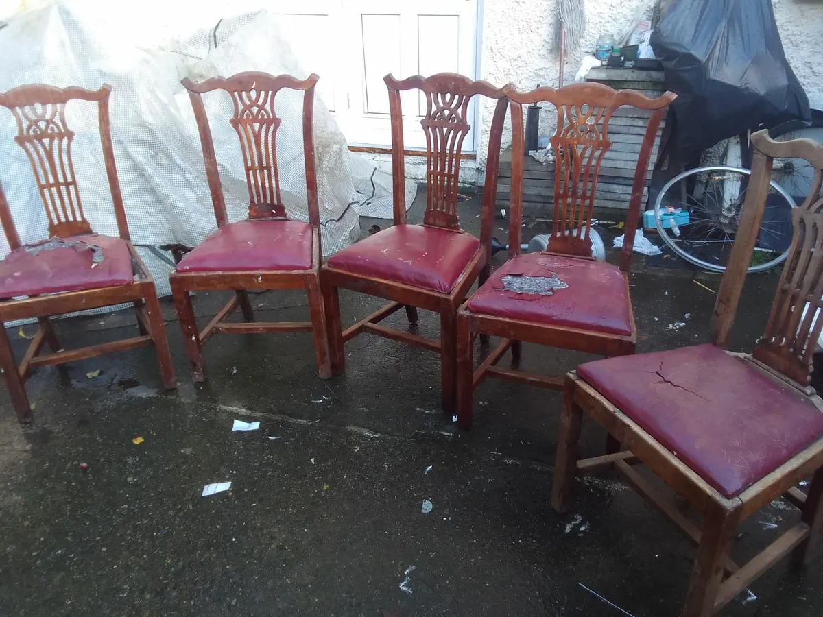 5 chairs for sale - Image 1
