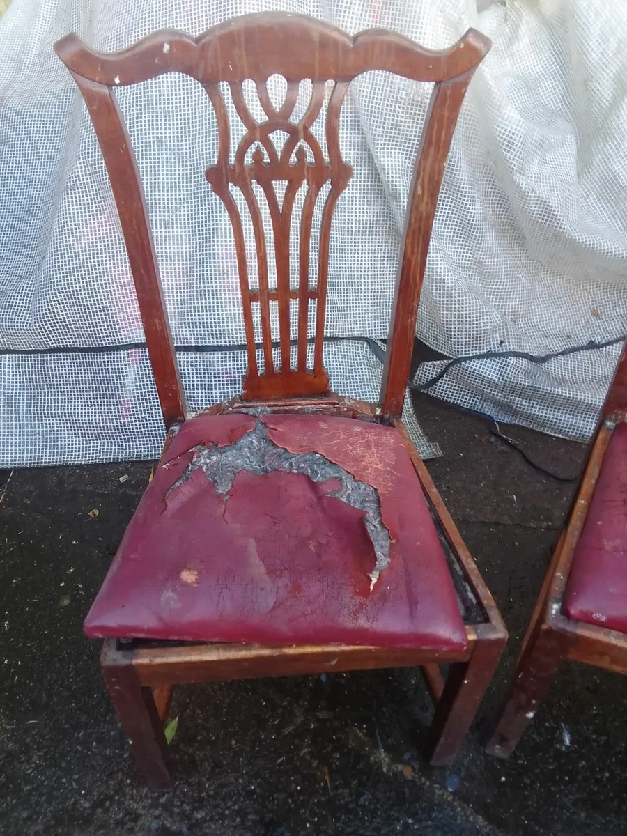 5 chairs for sale - Image 3