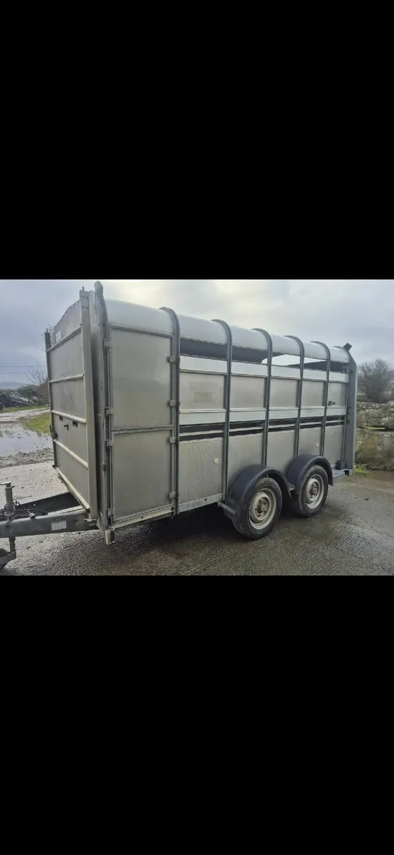 Ivor Williams  12 x 6 Cattle Trailer - Image 1