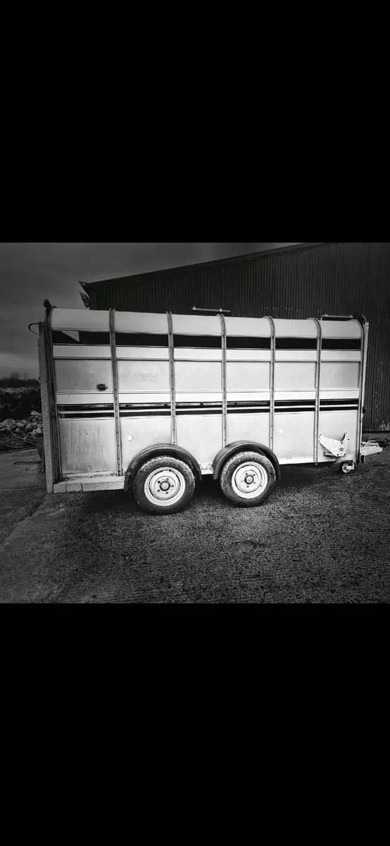 Ivor Williams  12 x 6 Cattle Trailer - Image 2