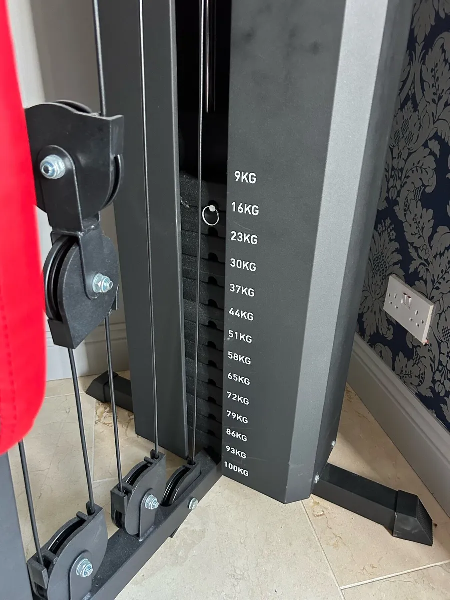 Exercise Tree - Image 3