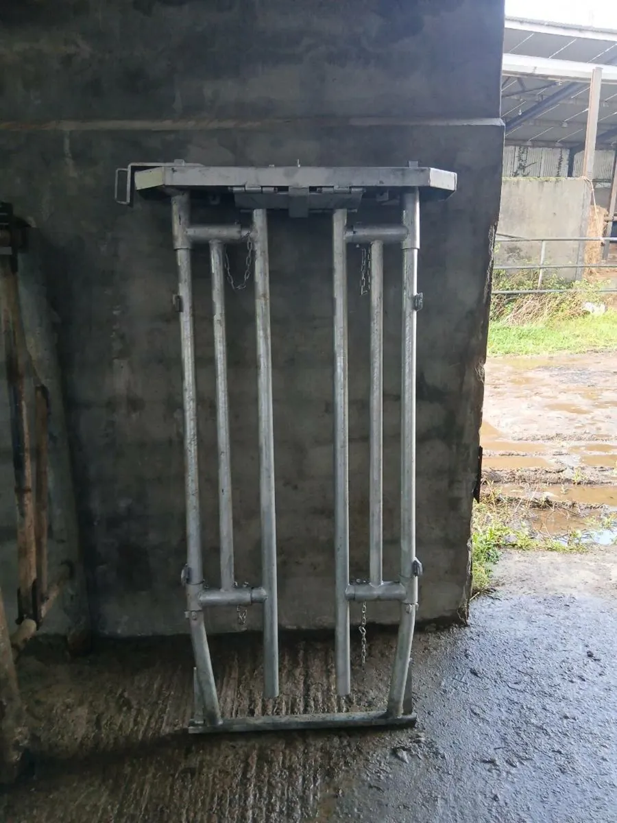 Cattle Crush Gate - Image 1