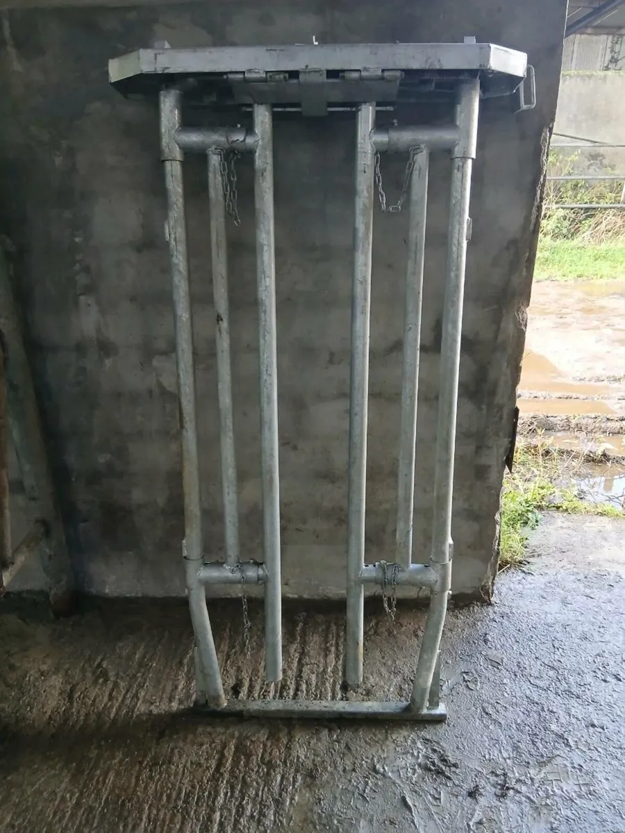 Cattle Crush Gate - Image 2