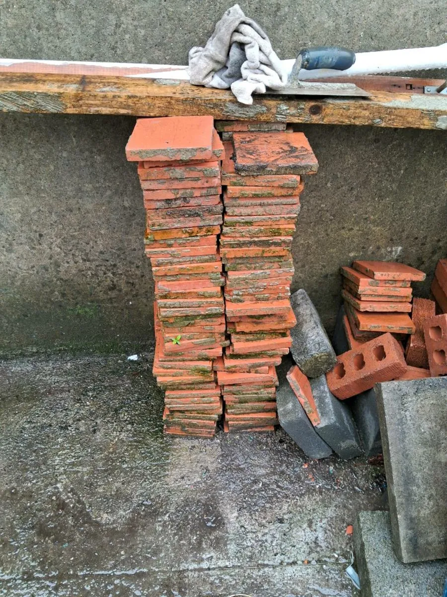 Terracotta floor tiles - Image 1