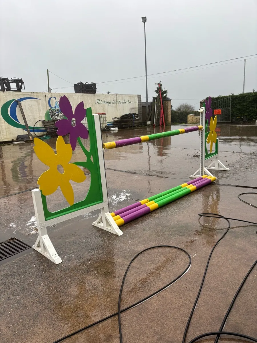 Show jumps - Image 1