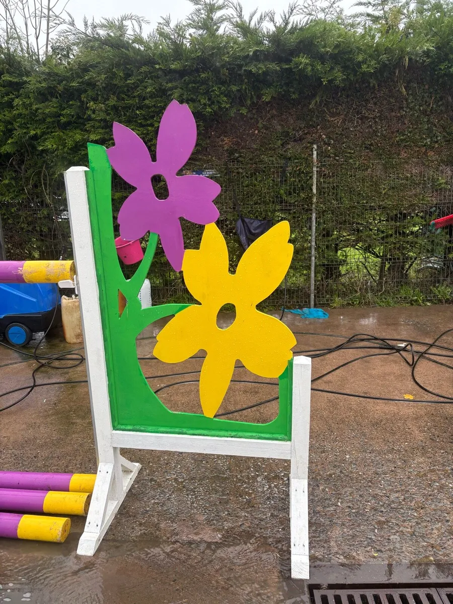 Show jumps - Image 2