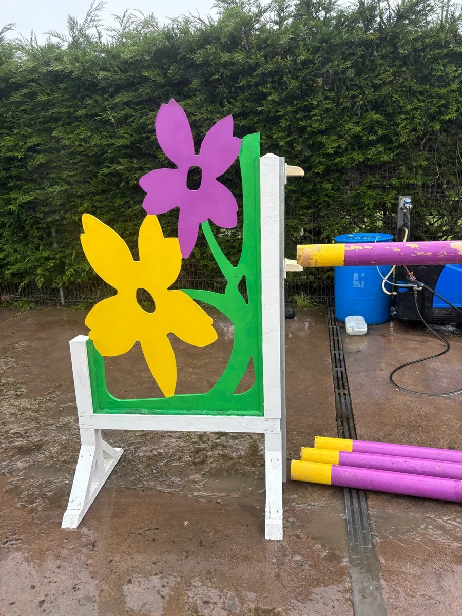 Show jumps - Image 3