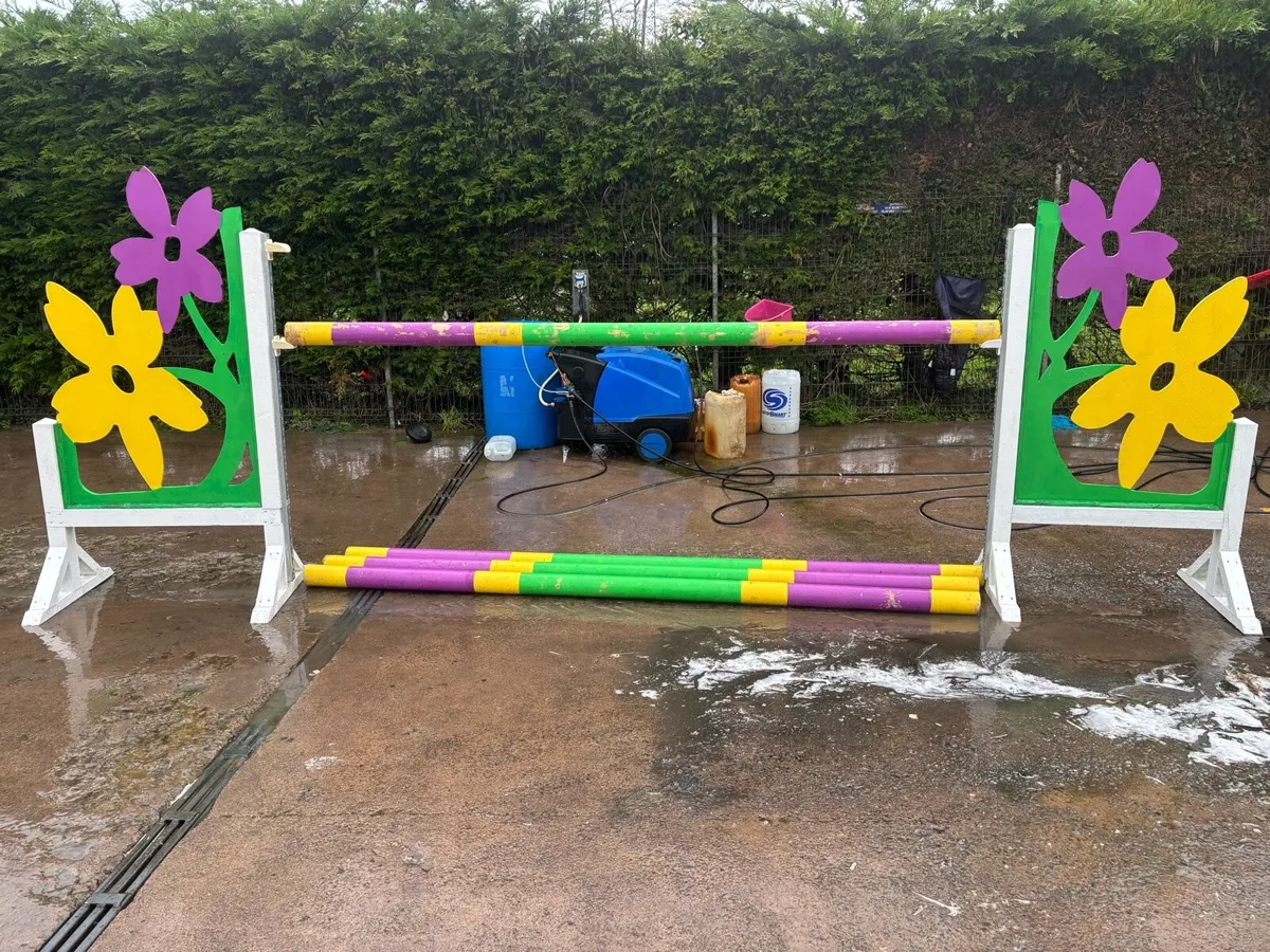 Show jumps - Image 4