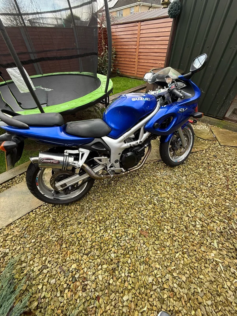 Suzuki SV650 2002 - Image 2