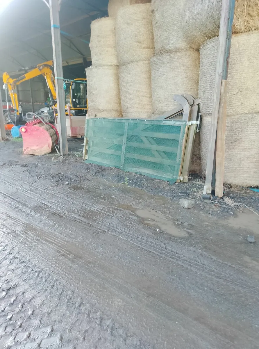 2 x10ft gates - Image 1