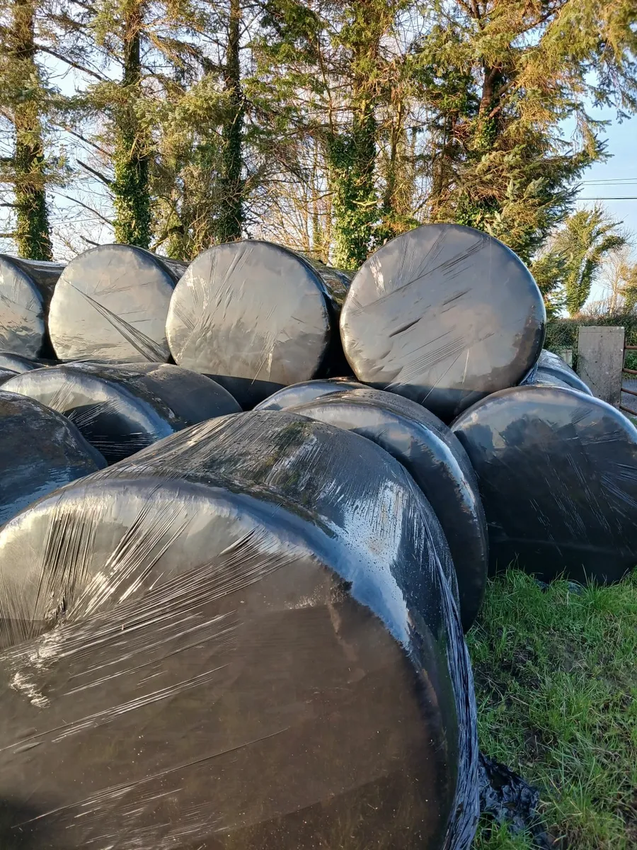 SILAGE BALES - Image 1