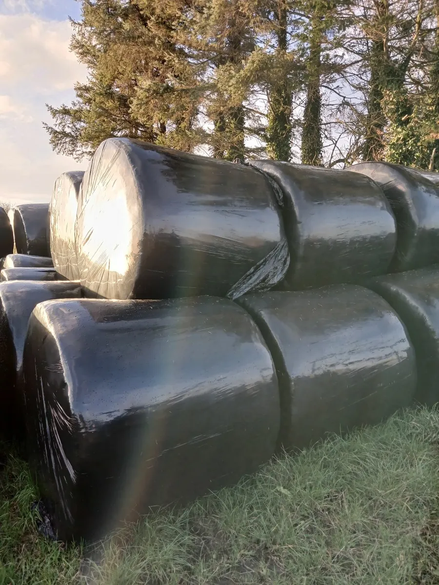 SILAGE BALES - Image 4
