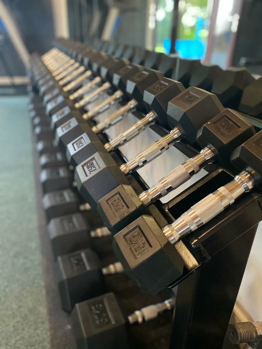 Gym equipment Dumbells Bumpers - Image 4