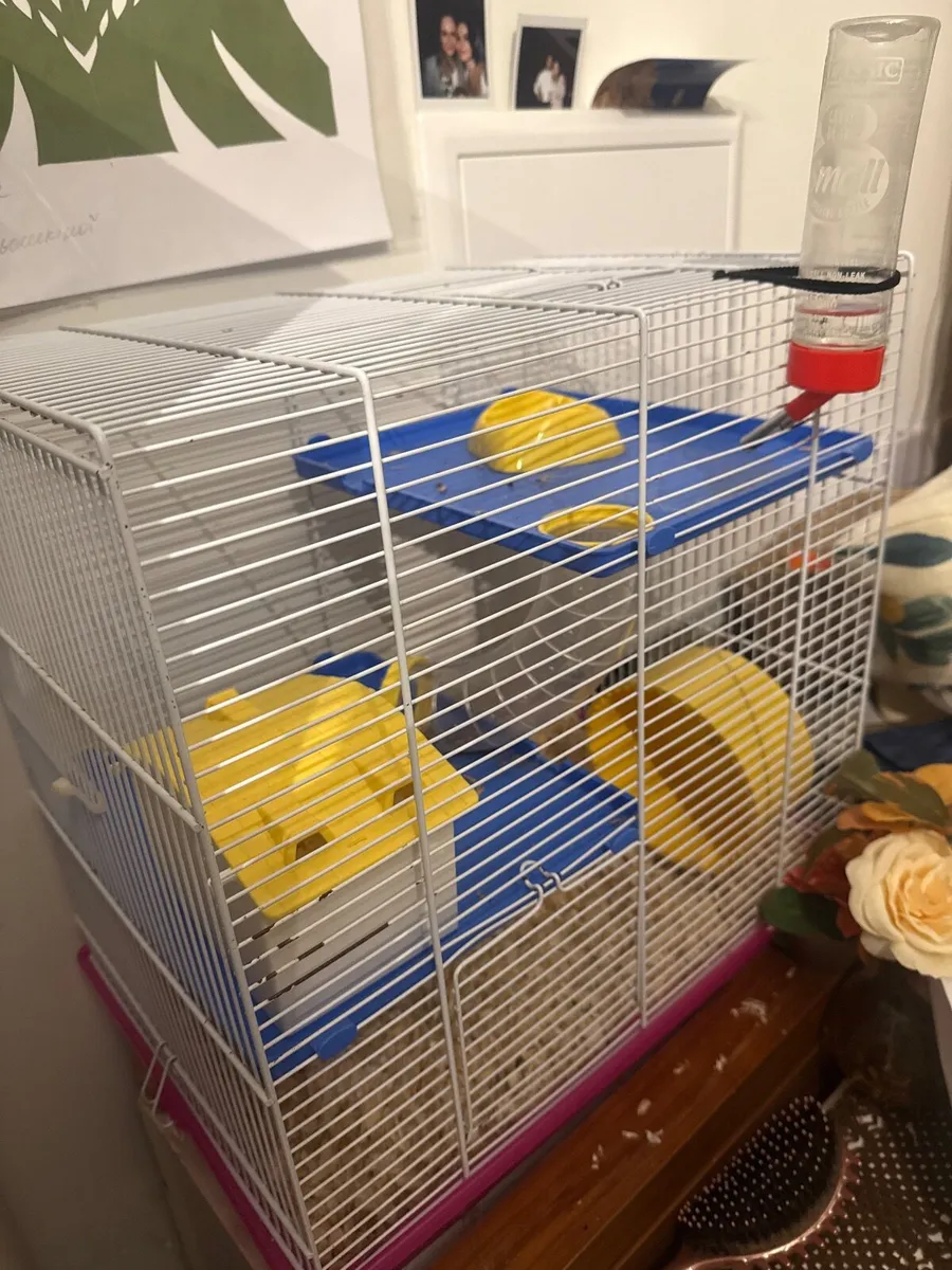 Hamster cage - Image 1