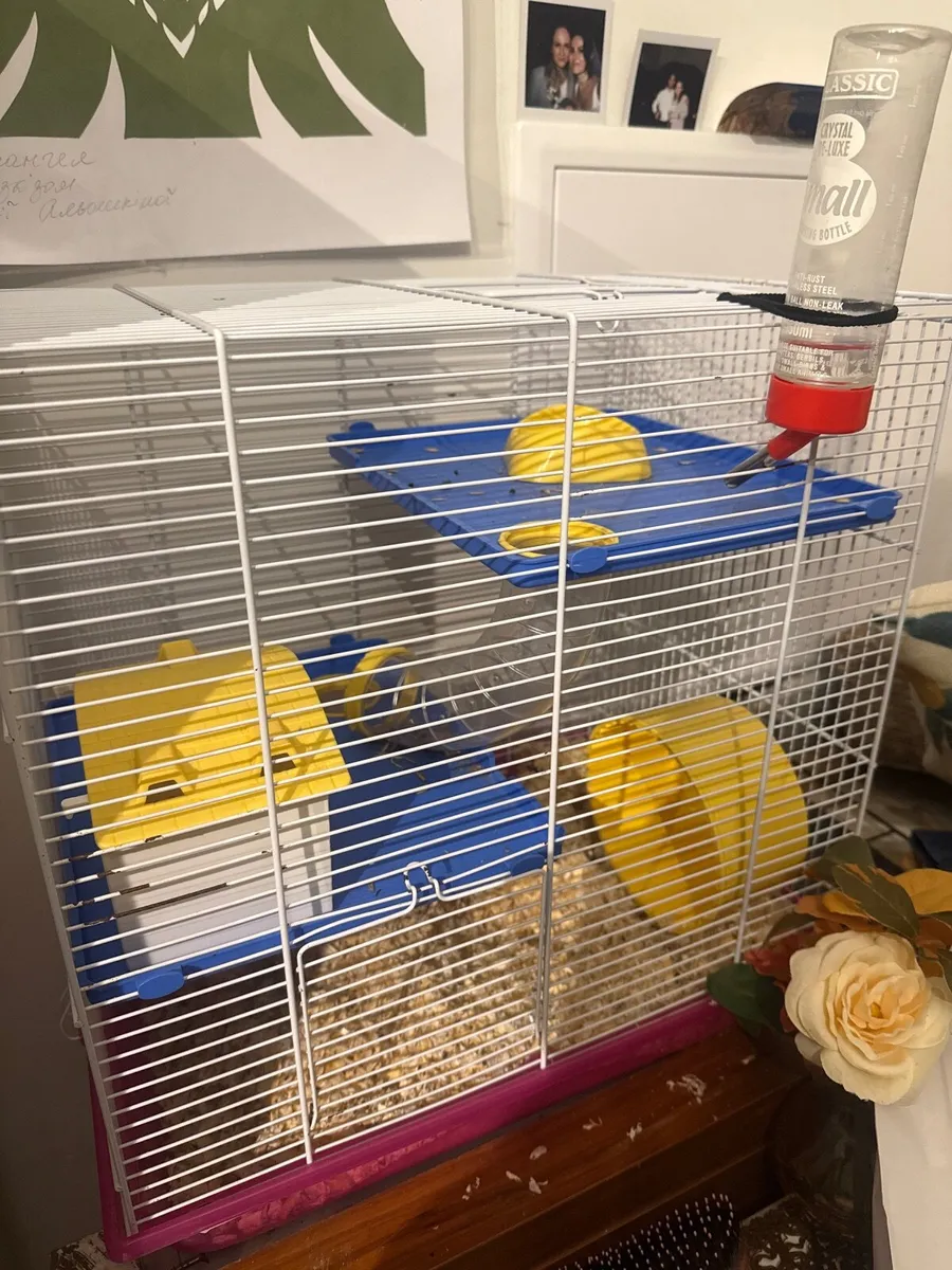 Hamster cage - Image 2