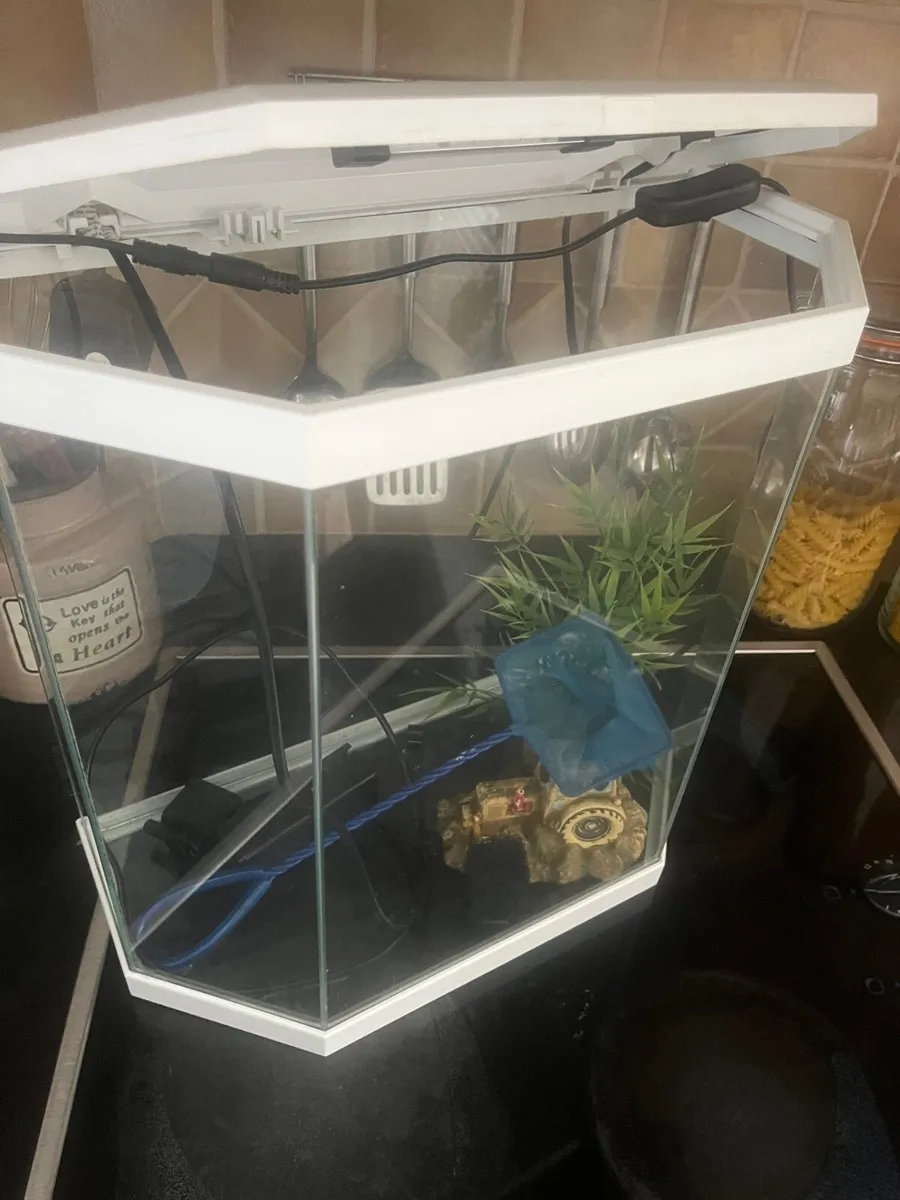 Fish tank - Image 1
