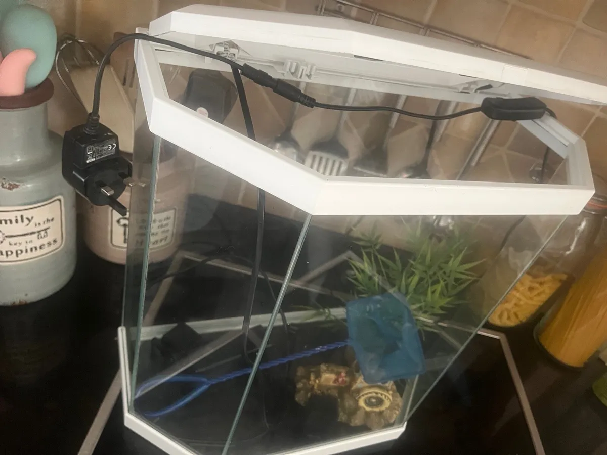 Fish tank - Image 2