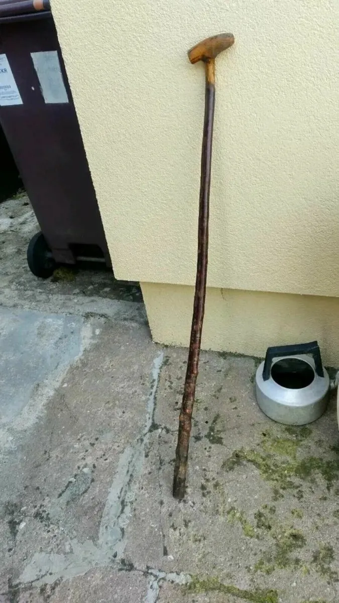 Blackthorn Walking Cane - Image 1