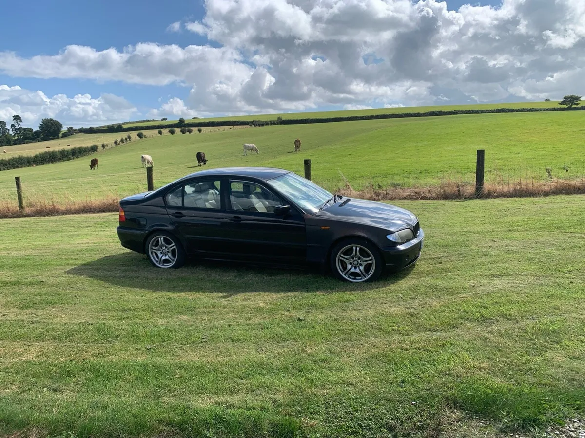 Bmw e46 - Image 2