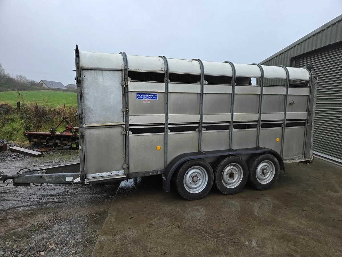 Ivor Williams cattle trailer - Image 1