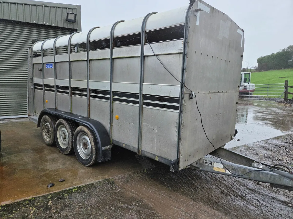Ivor Williams cattle trailer - Image 2